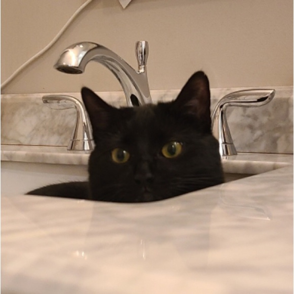 Hi!  Thanks for stopping by!